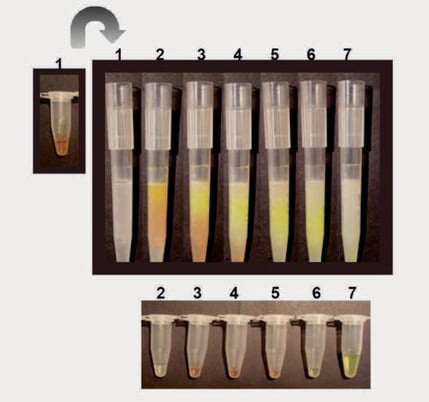 biotage-an136-figure3-separation-by-gel-filtration-phytip-column