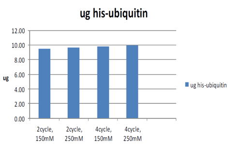 biotage-an142-figure1-optimization-purification-conditions-his-tagged-ubiquitin