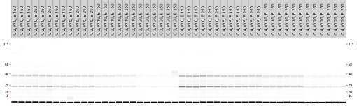 biotage-an142-figure2-to-evaluate-protein-profile