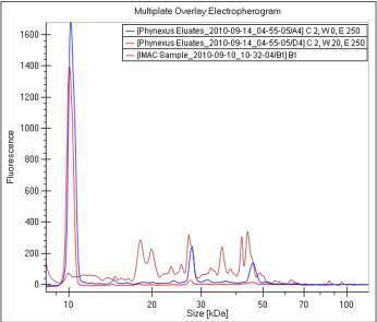 biotage-an142-figure3-multiple-overlay-electropherogram