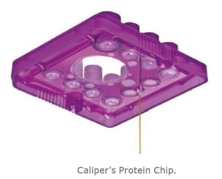 biotage-an401-figure2-caliper-s-protein-chip