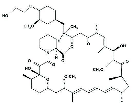 biotage-an758-figure1-structure-everolimus
