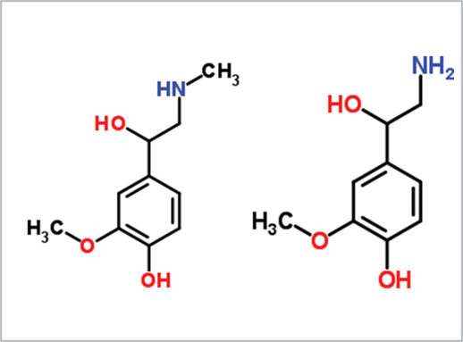 biotage-an794-figure1-Structures-metanephrine-and-normetanephrine