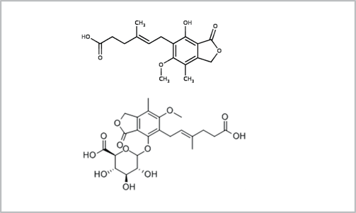 biotage-an810-figure1-structure-MPA-and-MPAG