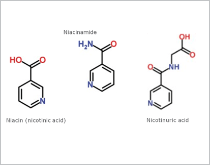 biotage-an814-figure1-structure-vitamin-B3-metabolites