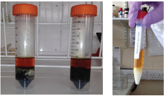biotage-an831-figure5-sludge-extract-before-d-SPE-and-after-d-SPE