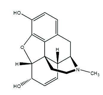 biotage-an852-figure1-structure-morphine