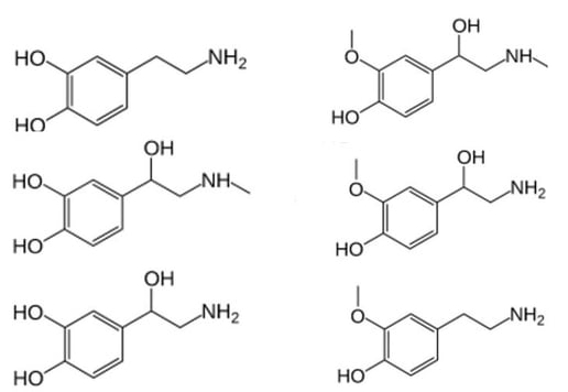 biotage-an871-figure1-structures-of-dopamine-epinephrine-norepinephrine-left-metanephrine-normetanephrine-3-methoxytyramine-right