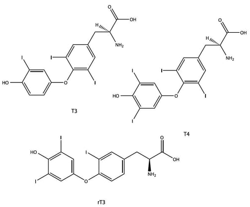 biotage-an881-figure1-structures-of-t3-rt3-t4