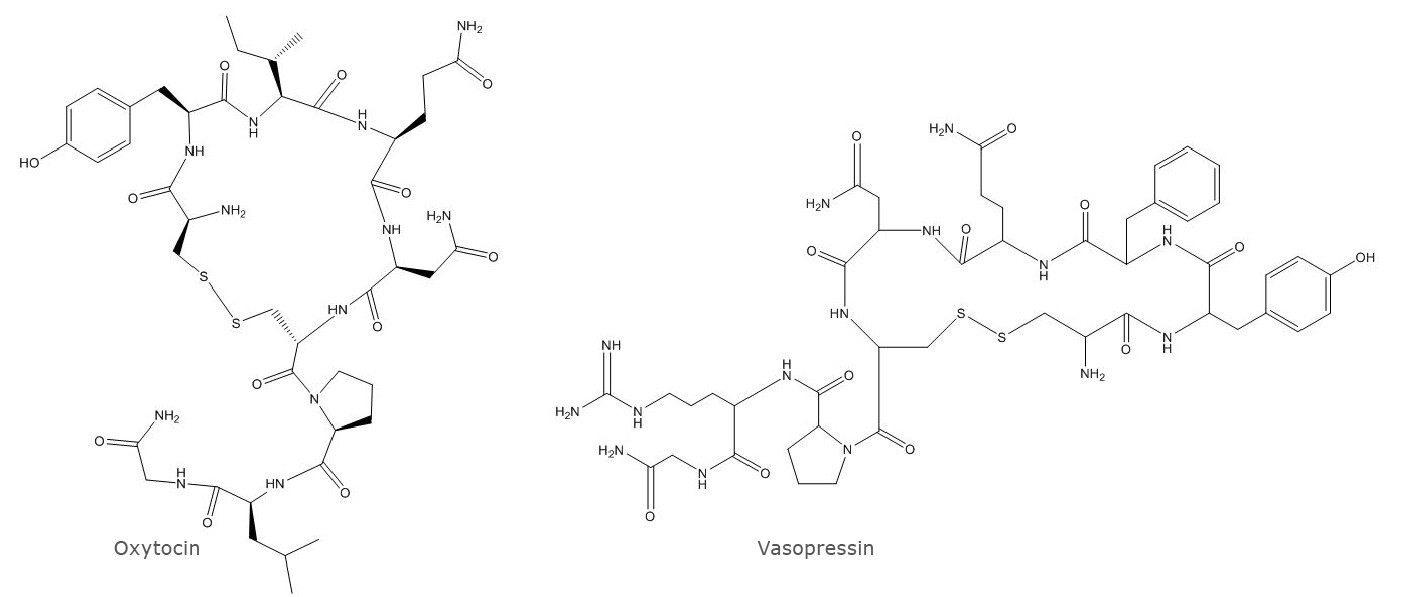 biotage-an882-figure1-structure-of-oxytocin-vasopressin