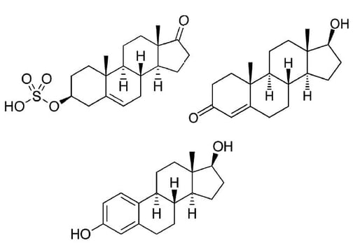 biotage-an891-figure1-structures-dheas-estradiol-testosterone