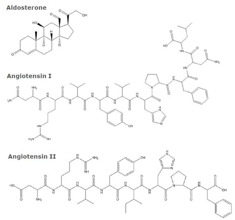 biotage-an894-figure1-structures-of-aldosterone-angiotensin-i-angiotensin-ii