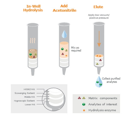 biotage-an932-figure3-Typical-workflow-ISOLUTE-HYDRO-DME+