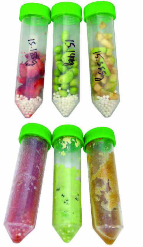 Determination of pesticide recovery rates from fruit and vegetables ...