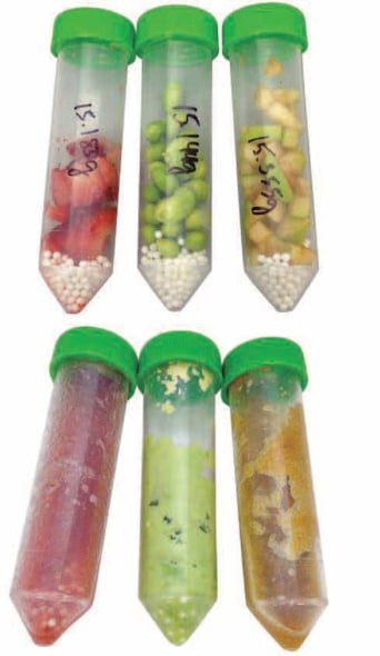 biotage-an938-figure1-Produce-Samples-Pre-Post-Homogenization