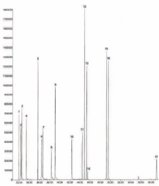 biotage-an938-figure2-GC-MS_total-ion-chromatogram