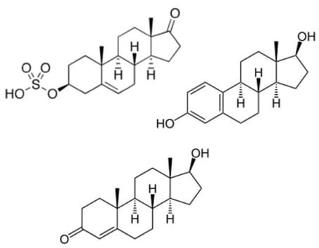 biotage-an939-figure1-structures-dheas-estradiol-testosterone