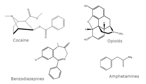biotage-an941-figure1-example-structures-by-class