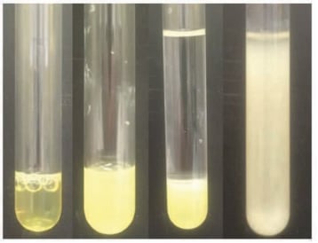 biotage-an945-figure5-images-representing-sample-consistency-of-sample-alone