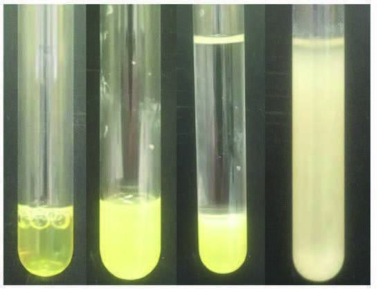 Sle 400 Extraction of fat-soluble vitamins from human serum using ISOLUTE® SLE+ ...
