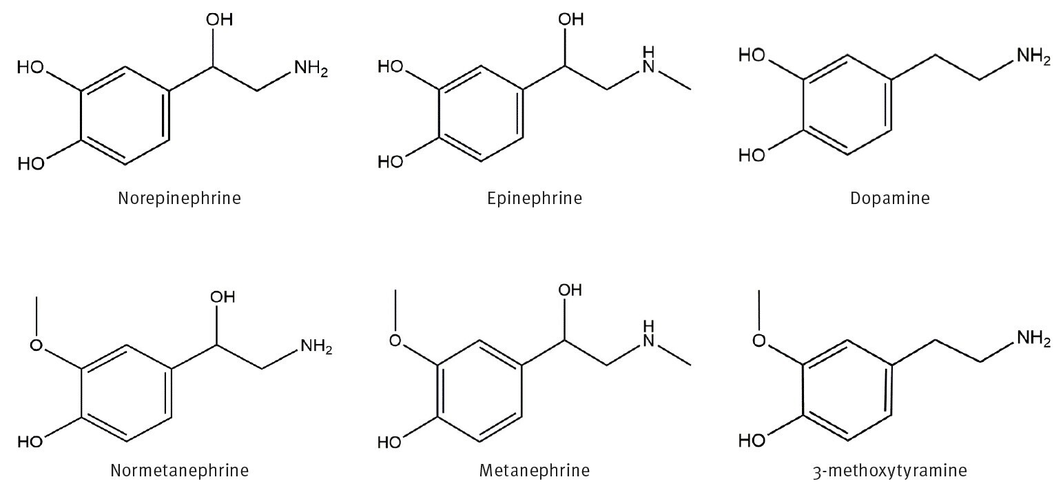 biotage-an962-figure1-structures-of-norepinephrine-epinephrine-dopamine-normetanephrine-metanephrine-3-methoxytyramine