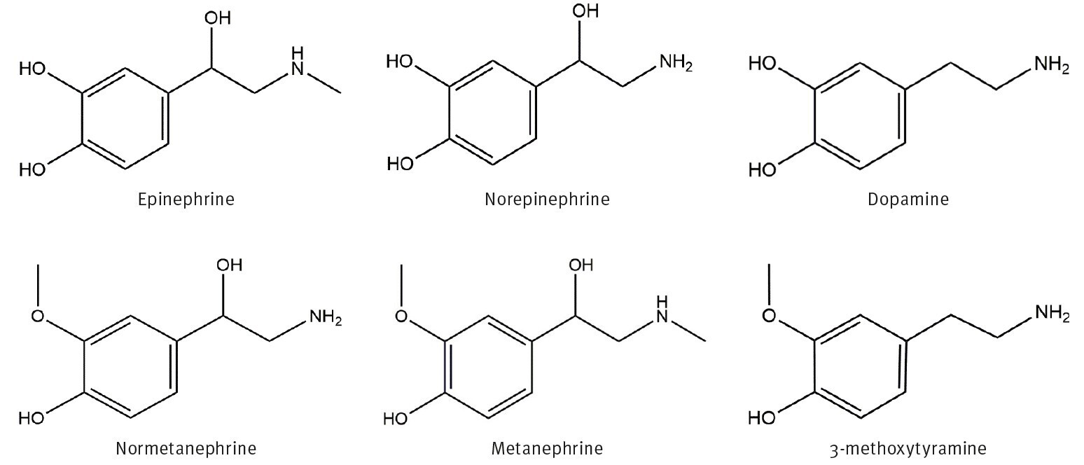 biotage-an963-figure1-structures-of-epinephrine-norepinephrine-dopamine-normetanephrine-metanephrine-3-methoxytyramine