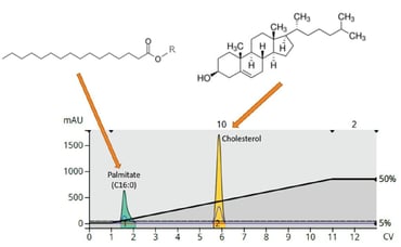 biotage-an977-figure1-normal-phase-flash-chromatographic-purification-methyl-palmitate-cholesterol