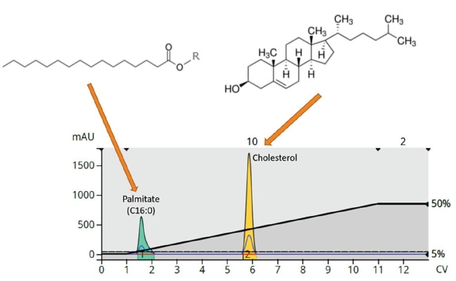 Towards large scale flash purification of lipids | Biotage