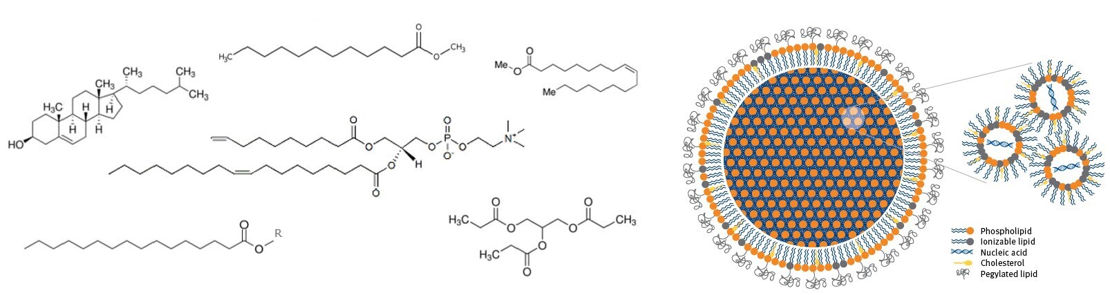 biotage-an977-titlefig