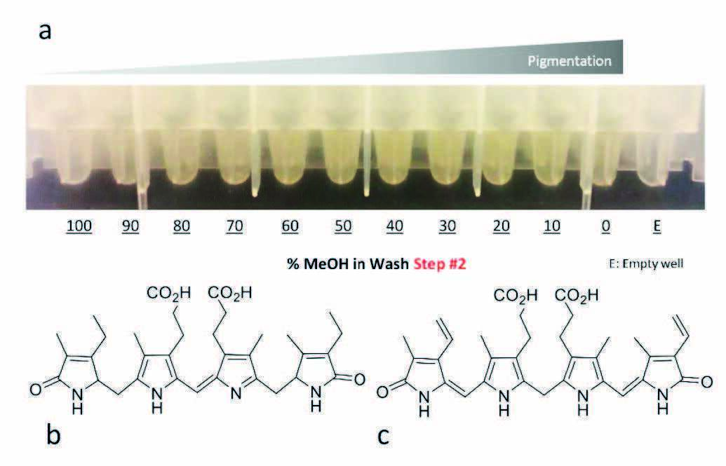 biotage-pps443-figure6-Effect-upon-pigmentation-percent-methanol-wash-step