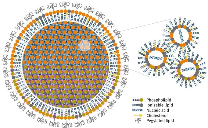biotage-pps679-figure2-common-examples-lipid-purification-using-normal-phase-reversed-phase-flash