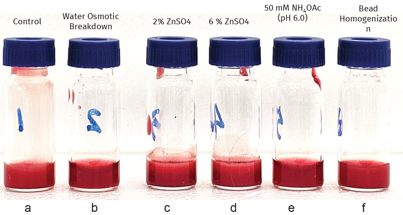 biotage-pps766-figure11-direct-visualization-rbcs-hemolyzed-water-osmotic-breakdown