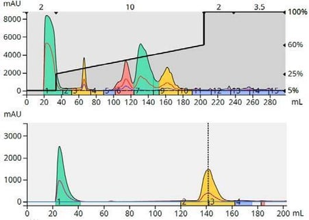 biotage-ui468-figure5-purification-analysis-for-reaction-2-with-estimated-maximum-load