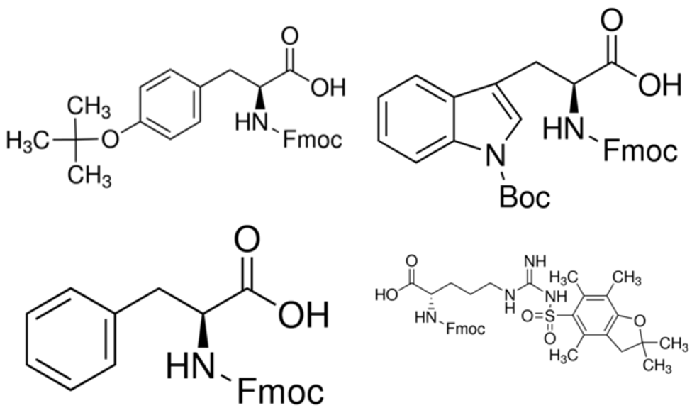 bulky-amino-acids