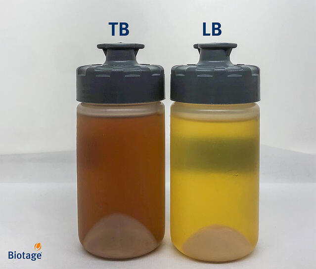 Terrific Broth (TB) versus Lysogeny Broth (LB)