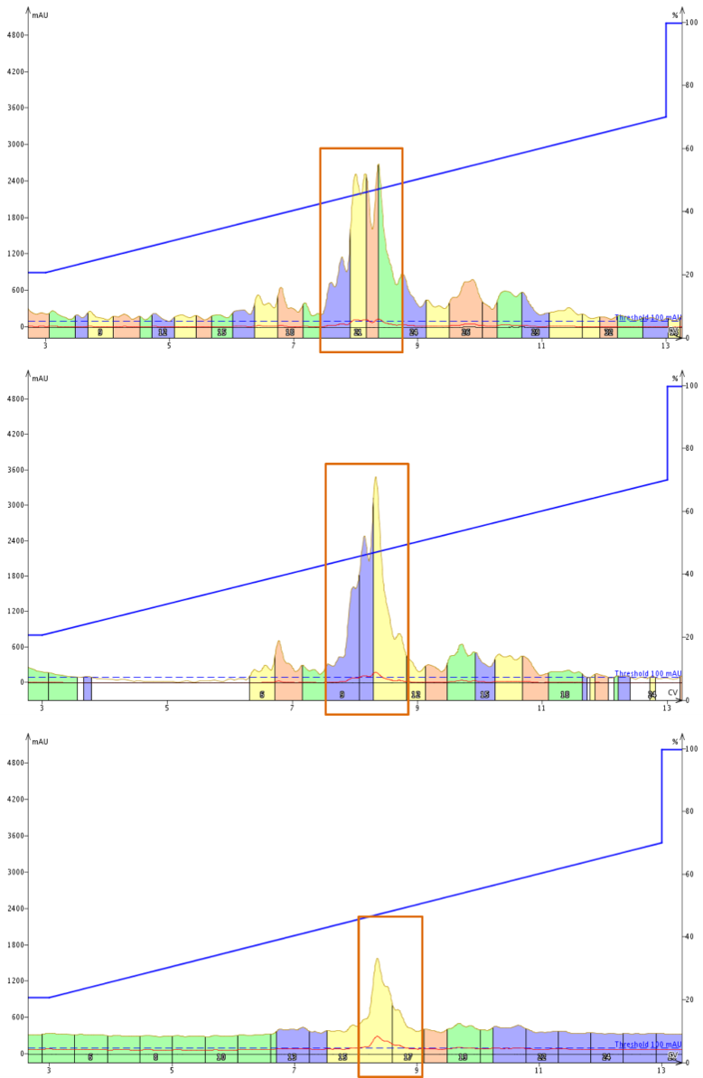 BID chromatograms