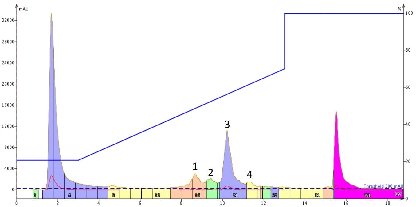 Figure 1.  Purification of 18A using a standard linear gradient