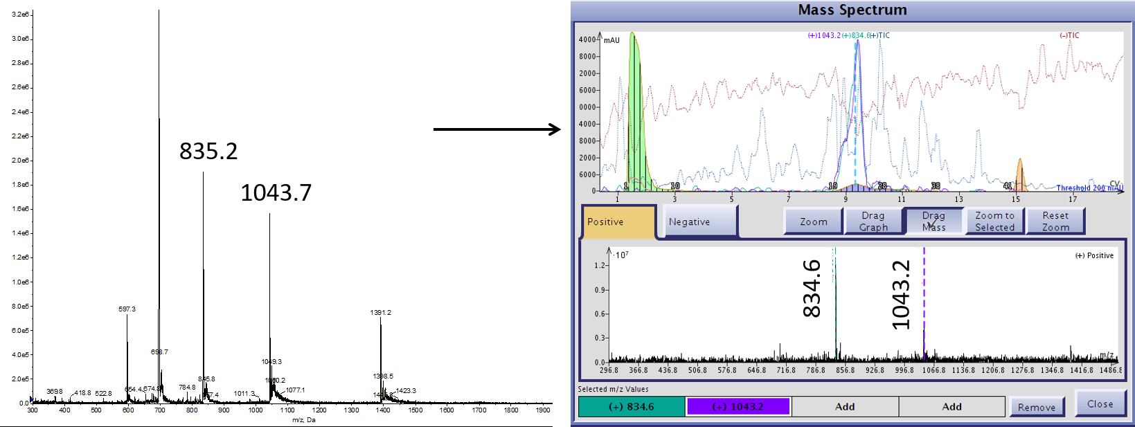 Follow up mass analysis indicates subtle differences in the predominant mass species observed using the Isolera Dalton 2000 (right) and a more standard analytical MS (left) for the same crude peptide sample.