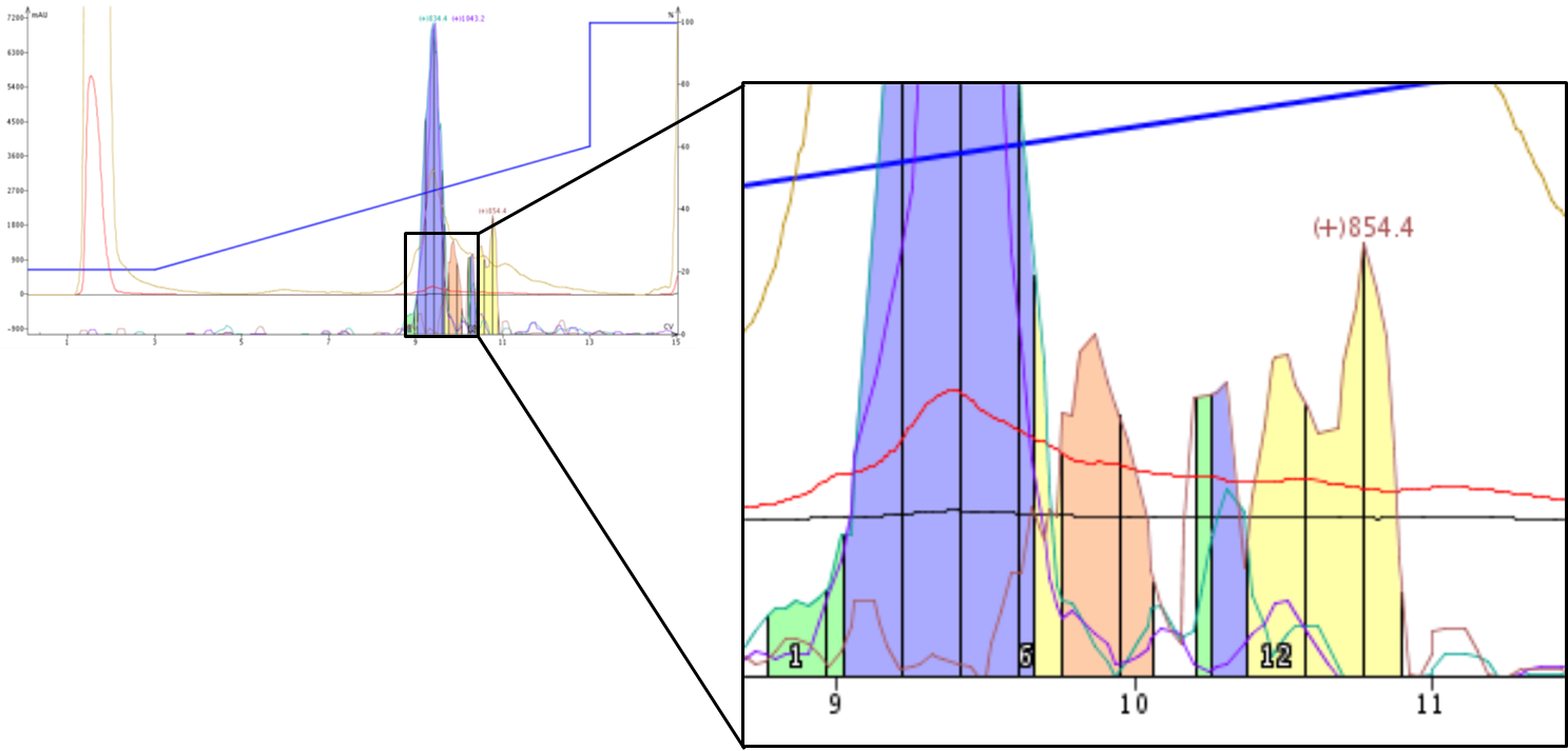 Zoomed view demonstrates separation of single amino acid deletions with carefully defined extract ion masses.
