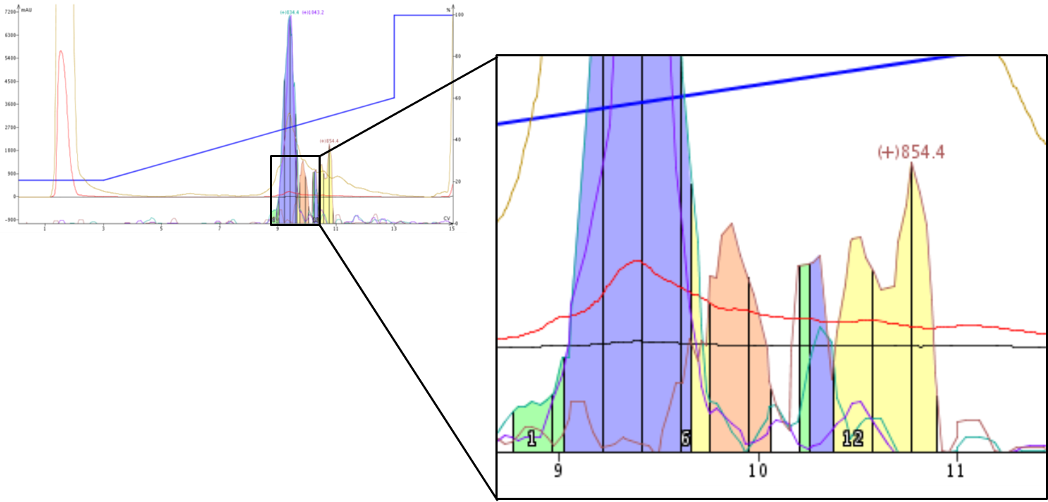 Zoomed view demonstrates separation of single amino acid deletions with carefully defined extract ion masses.