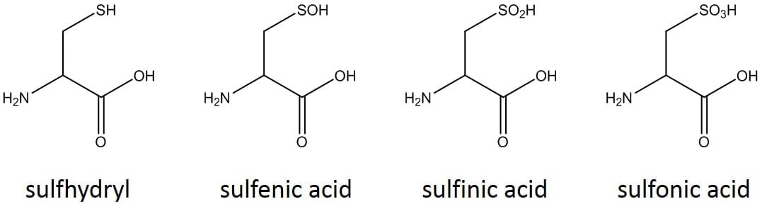 cysteine-forms