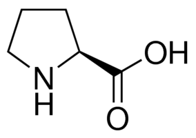 proline