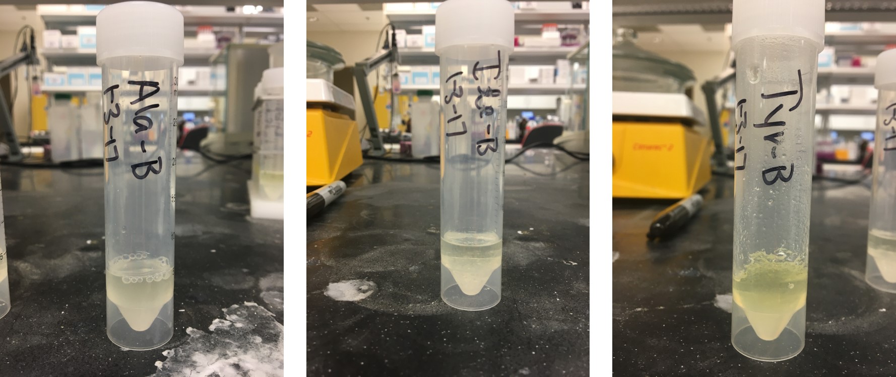 Amino acid solutions stored in a closed plastic vessel for 6 weeks at room temperature.