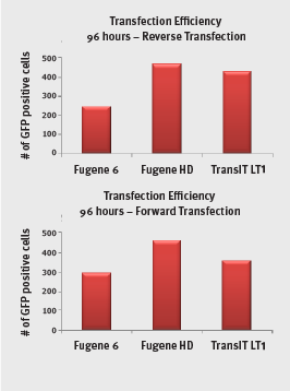 transfection efficiency lysate direct phytip columns