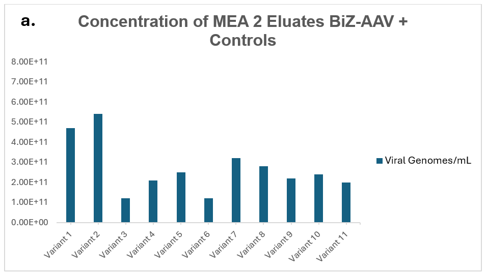AN1030 Figure 4 A concentration MEA2 eluates BiZ AAV
