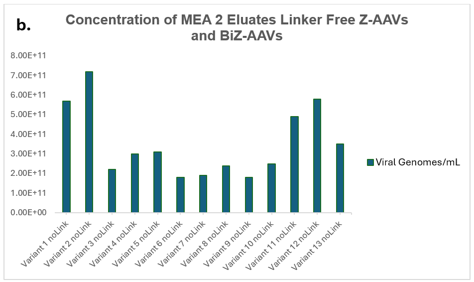 AN1030 Figure 4 B concentration of MEA2 eluates linker free Z-AAVs and BiZ-AAVs