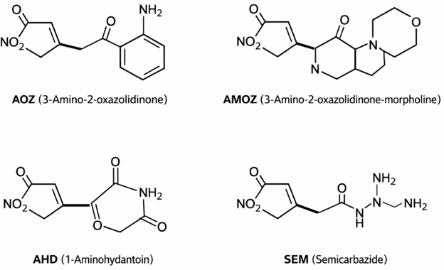 Figure 1 Nitrofuran metabolites