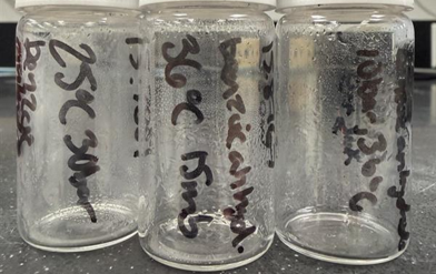 Figure 1_benzoic anhydride sample