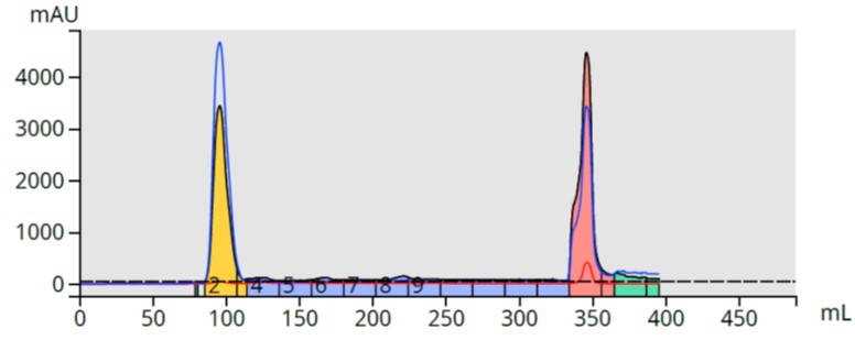 Nicotinuric acid + benzyl amine SCX small scale