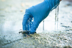 bigstock-Pond-Water-Pollution-Concept--363266839